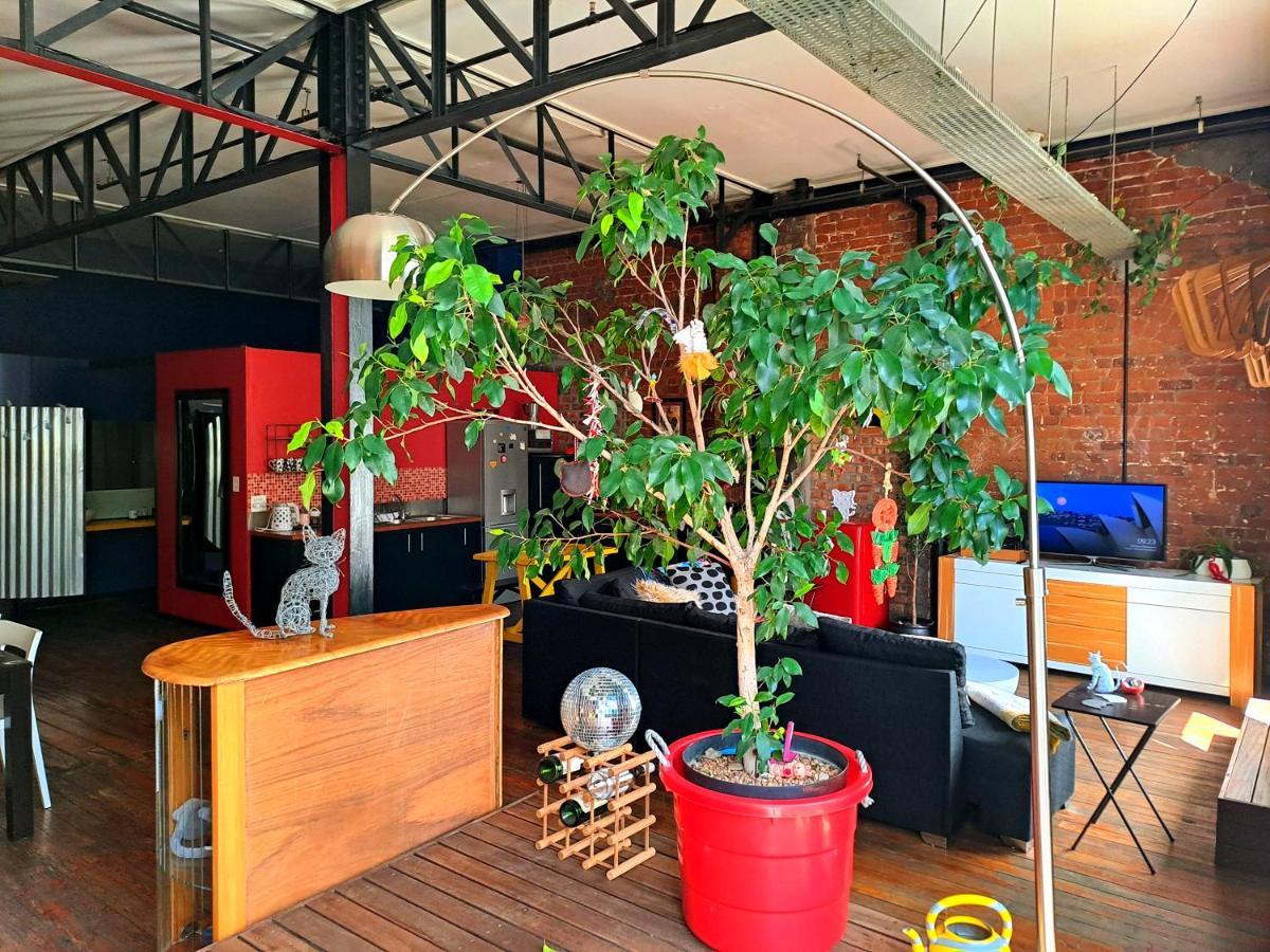 Pet-Friendly City Loft Apartment 开普敦 外观 照片