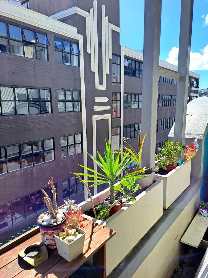 Pet-Friendly City Loft Apartment 开普敦 外观 照片