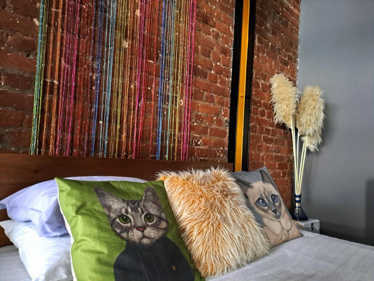 Pet-Friendly City Loft Apartment 开普敦 外观 照片