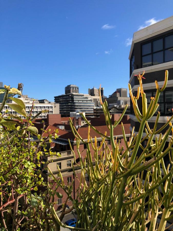 Pet-Friendly City Loft Apartment 开普敦 外观 照片